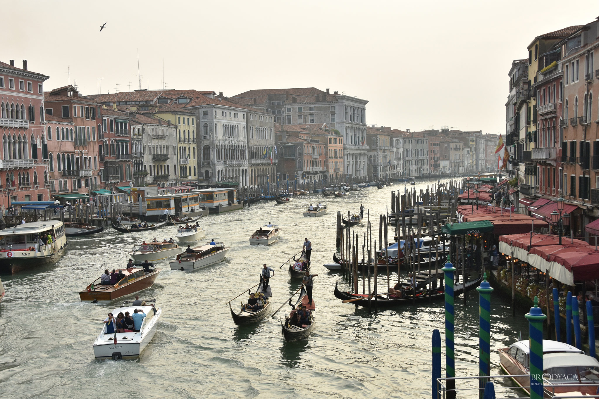Venice